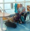 Hunde auf Fähre.JPG Hunde auf Fähre.JPG