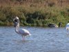 IMG_5344.JPG