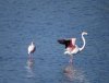 IMG_0083.JPG