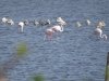 IMG_1970-001.JPG