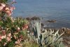 Insel Asinara (4).JPG Insel Asinara (4).JPG