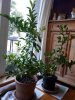 20180926_184004.jpg