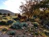 20180927_080148.jpg 20180927_080148.jpg