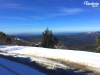 Schnee in  (2).png