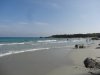 DSC00981.JPG DSC00981.JPG