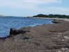 20190528_163301.jpg