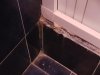 rps20190611_140704.jpg rps20190611_140704.jpg
