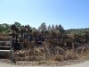 DSC02764.jpg