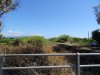DSC02766.jpg