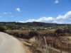 DSC02765.jpg