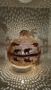IMG-20180814-WA0040.jpg