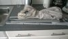 WP_20190817_004.jpg