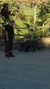 IMG-20190902-WA0000.jpg