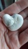 IMG-20191104-WA0003.jpeg