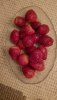 IMG-20200212-WA0002.jpeg