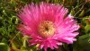 DSCN0998.JPG