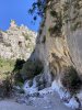 IMG_4362.jpeg