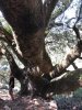 IMG-20181003-WA0043.jpg