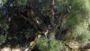 DSCN0450.JPG