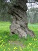 DSC00495.JPG