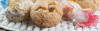 dolci_assortiti_l2.PNG dolci_assortiti_l2.PNG