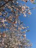 DSC00559.JPG