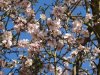 DSC00548.JPG