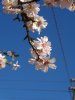 DSC00562.JPG
