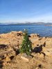 IMG-20201224-WA0003.jpg