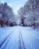 IMG-20201228-WA0000.jpg