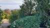 IMG-20210131-WA0005.jpg