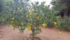 20201110_151600.jpg