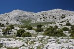 IMG_3442.jpg
