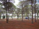 DSCN2882.JPG DSCN2882.JPG