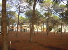 DSCN2924.JPG DSCN2924.JPG