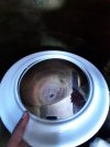 20210927_103156.jpg 20210927_103156.jpg