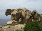 CIMG0706.JPG