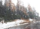 IMG-20211105-WA0000.jpg