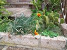 IMG_20171211_122858.jpg