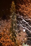 DSC_0493.JPG DSC_0493.JPG