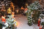 DSC_0456.JPG DSC_0456.JPG