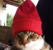 20181124_123539.jpg