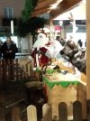 IMG20211219192447.jpg