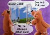 Kacktusse (2).jpg