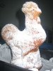 eierlikoerkuchen_huhn_kl.jpg