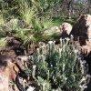 20180401_161550.jpg