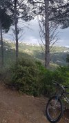 20220422_161542.jpg 20220422_161542.jpg