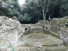 20220504_161518.jpg 20220504_161518.jpg