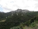 IMG_2931.JPG
