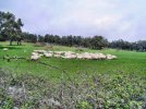 Sardinien (33).jpg Sardinien (33).jpg